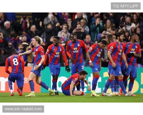 水晶宫因球迷行为遭英足总指控,需在11月11日前回应 水晶宫因球迷行为遭英足总指控,需在11月11日前回应