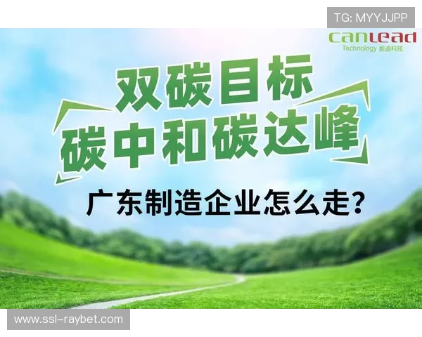 统筹流程聚焦低碳目标,推动可持续发展 统筹流程聚焦低碳目标,推动可持续发展